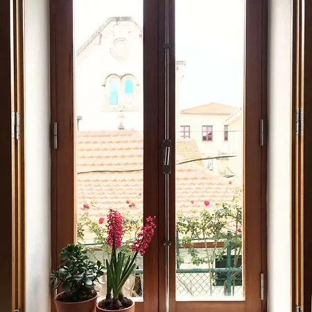 Apartamento Casa Do Bairro 2